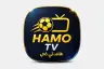 تحميل تطبيق Hamo TV مهكر 2026 هامو تي في Apk أحدث اصدار